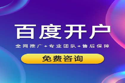 专业竞价SEM托管成功案例解析